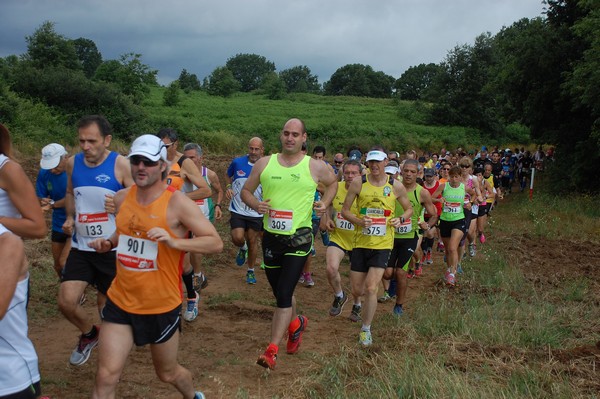 Cross Trofeo Città di Nettuno (TOP) (02/06/2016) 00146