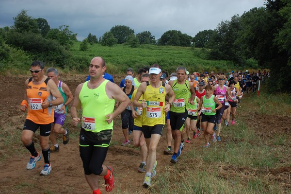 Cross Trofeo Città di Nettuno (TOP) (02/06/2016) 00147
