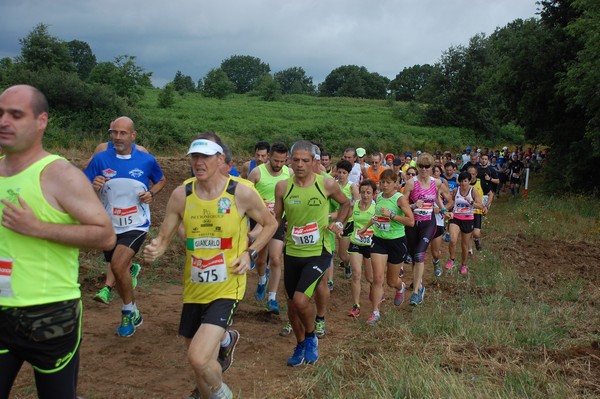 Cross Trofeo Città di Nettuno (TOP) (02/06/2016) 00148