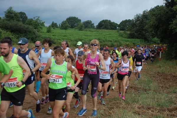 Cross Trofeo Città di Nettuno (TOP) (02/06/2016) 00151