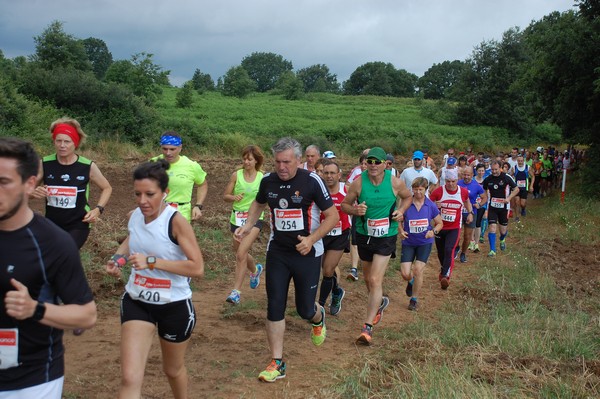 Cross Trofeo Città di Nettuno (TOP) (02/06/2016) 00157