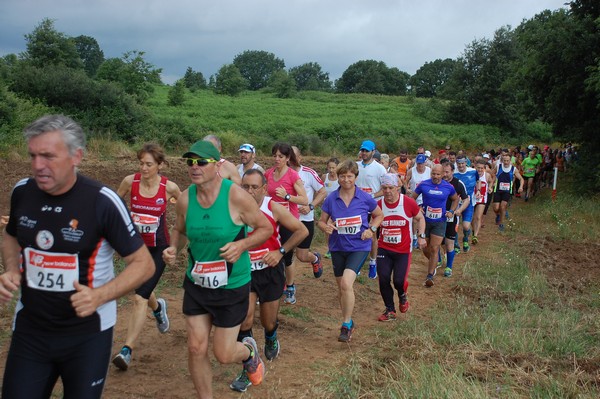 Cross Trofeo Città di Nettuno (TOP) (02/06/2016) 00159