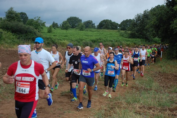 Cross Trofeo Città di Nettuno (TOP) (02/06/2016) 00162