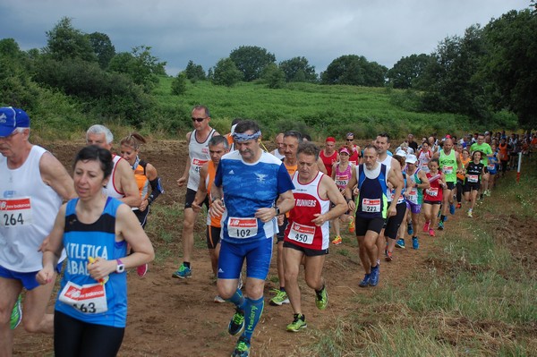 Cross Trofeo Città di Nettuno (TOP) (02/06/2016) 00165