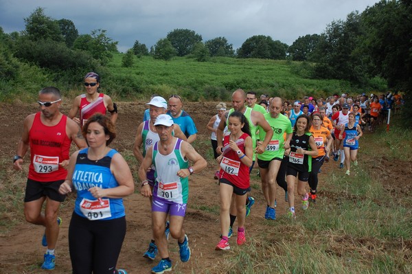 Cross Trofeo Città di Nettuno (TOP) (02/06/2016) 00170
