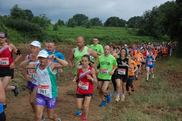 Cross Trofeo Città di Nettuno (TOP) (02/06/2016) 00171