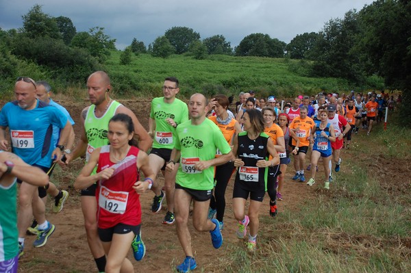 Cross Trofeo Città di Nettuno (TOP) (02/06/2016) 00172