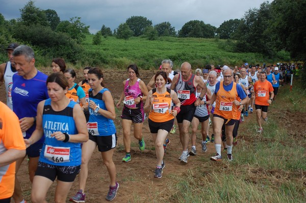 Cross Trofeo Città di Nettuno (TOP) (02/06/2016) 00181