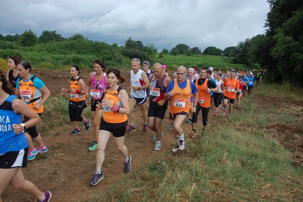Cross Trofeo Città di Nettuno (TOP) (02/06/2016) 00184