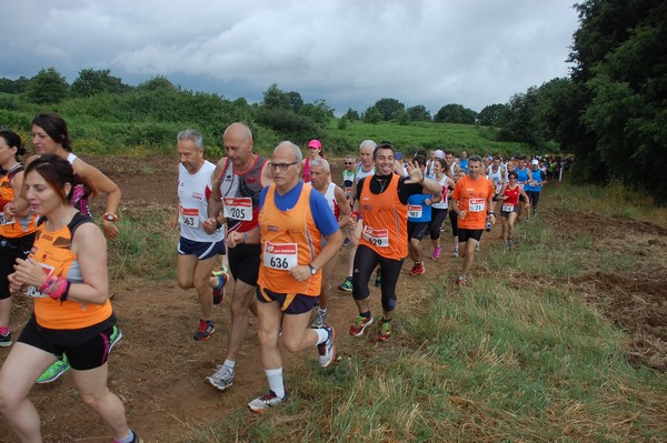 Cross Trofeo Città di Nettuno (TOP) (02/06/2016) 00185