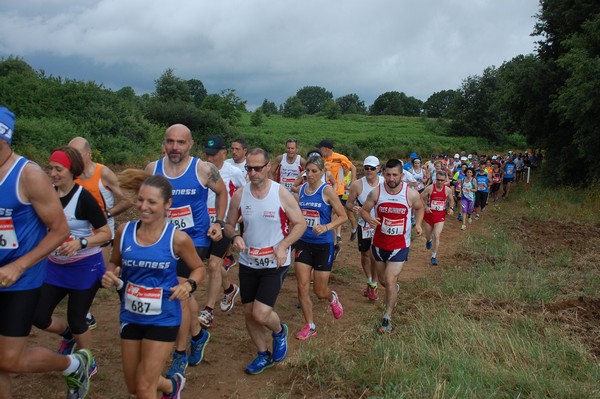 Cross Trofeo Città di Nettuno (TOP) (02/06/2016) 00197