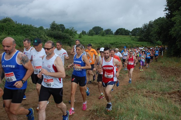 Cross Trofeo Città di Nettuno (TOP) (02/06/2016) 00198