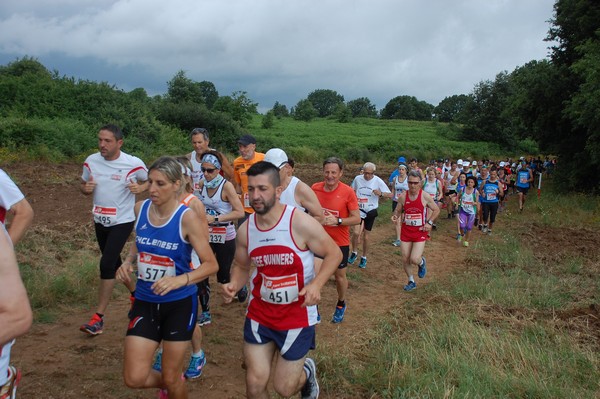 Cross Trofeo Città di Nettuno (TOP) (02/06/2016) 00199