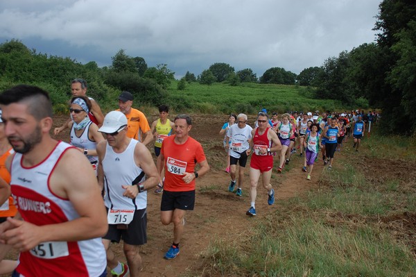 Cross Trofeo Città di Nettuno (TOP) (02/06/2016) 00200