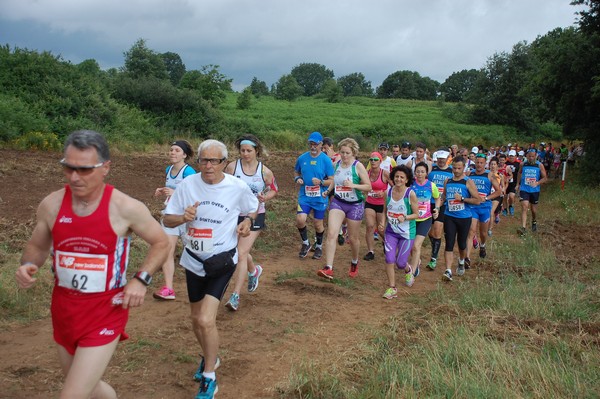 Cross Trofeo Città di Nettuno (TOP) (02/06/2016) 00202