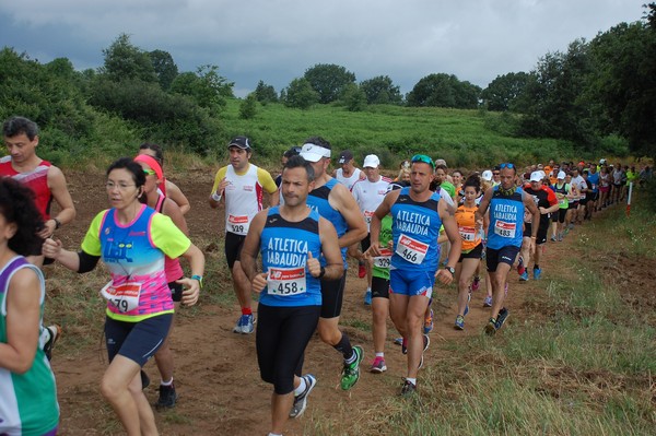 Cross Trofeo Città di Nettuno (TOP) (02/06/2016) 00206