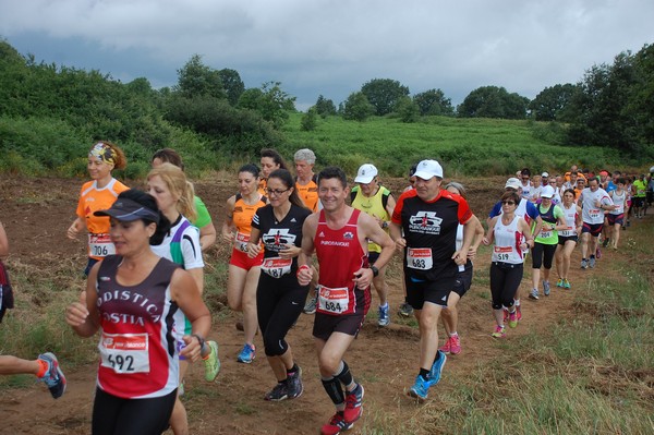 Cross Trofeo Città di Nettuno (TOP) (02/06/2016) 00212
