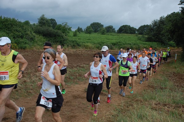 Cross Trofeo Città di Nettuno (TOP) (02/06/2016) 00215