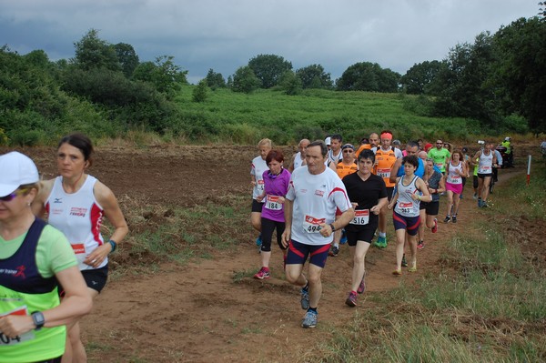 Cross Trofeo Città di Nettuno (TOP) (02/06/2016) 00219