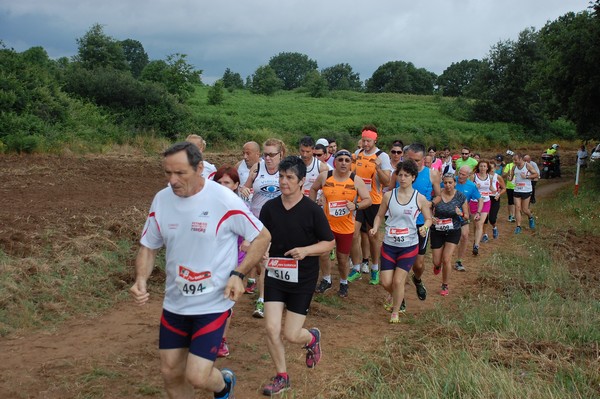 Cross Trofeo Città di Nettuno (TOP) (02/06/2016) 00221