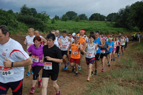 Cross Trofeo Città di Nettuno (TOP) (02/06/2016) 00222