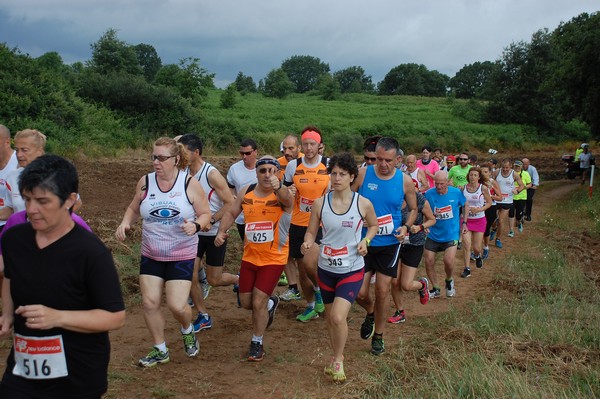 Cross Trofeo Città di Nettuno (TOP) (02/06/2016) 00223
