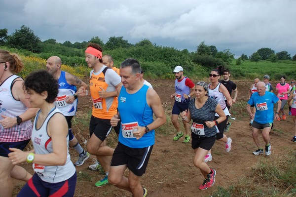 Cross Trofeo Città di Nettuno (TOP) (02/06/2016) 00227