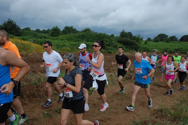 Cross Trofeo Città di Nettuno (TOP) (02/06/2016) 00228