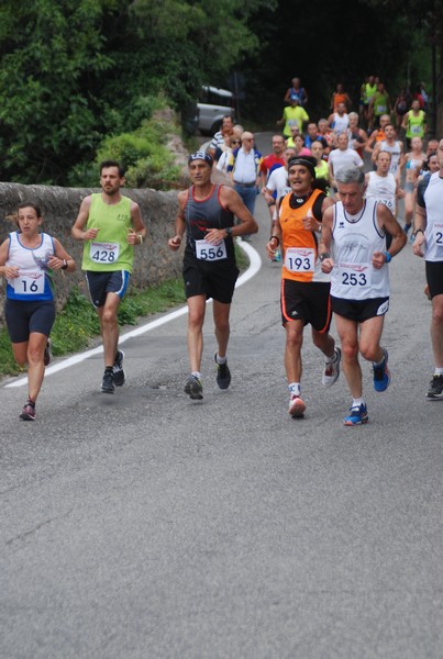 Maratonina di Villa Adriana (CCRun) (29/05/2016) 00119