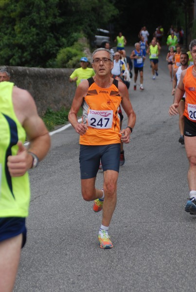 Maratonina di Villa Adriana (CCRun) (29/05/2016) 00126