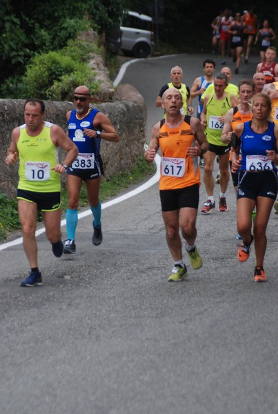 Maratonina di Villa Adriana (CCRun) (29/05/2016) 00138