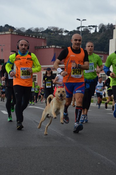 La Corsa di Miguel - (Top) (31/01/2016) 131