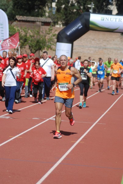 Appia Run (17/04/2016) 00111