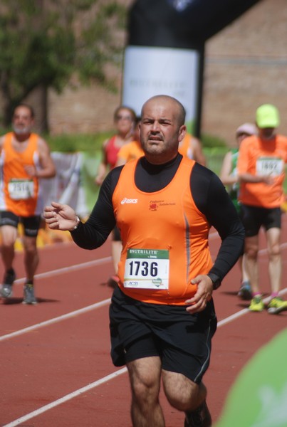Appia Run (17/04/2016) 00247