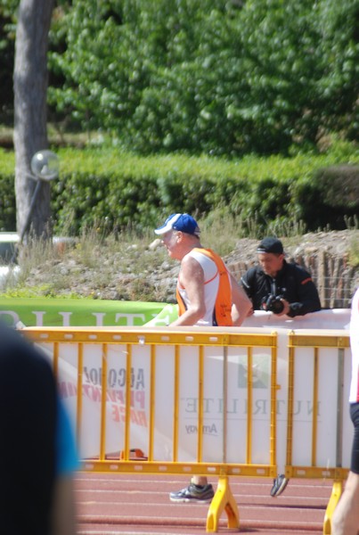Appia Run (17/04/2016) 00270