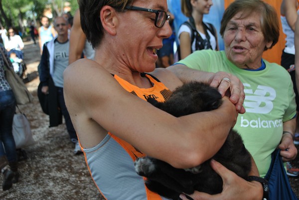Maratona di Roma a Staffetta (TOP) (15/10/2016) 00025