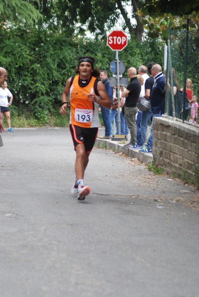 Maratonina di Villa Adriana (CCRun) (29/05/2016) 00010