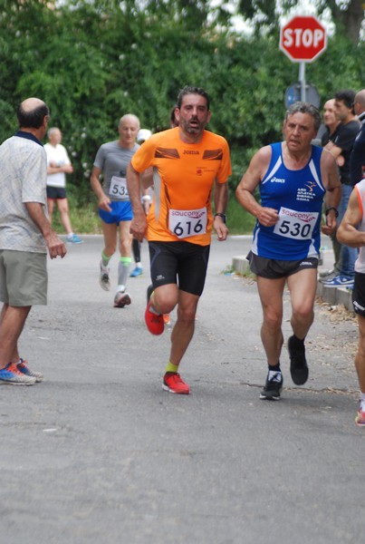 Maratonina di Villa Adriana (CCRun) (29/05/2016) 00065