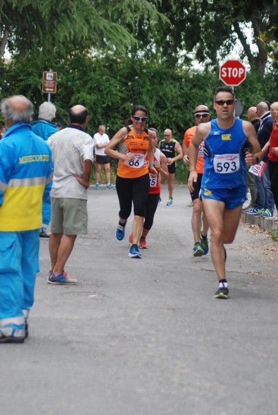 Maratonina di Villa Adriana (CCRun) (29/05/2016) 00121