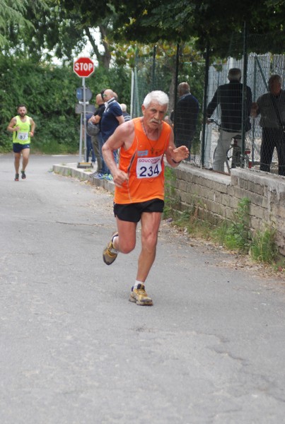Maratonina di Villa Adriana (CCRun) (29/05/2016) 00136