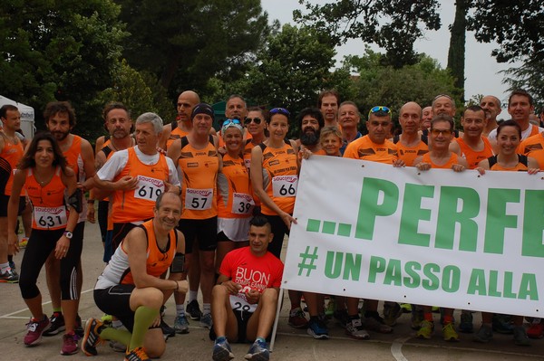 Maratonina di Villa Adriana (CCRun) (29/05/2016) 00006