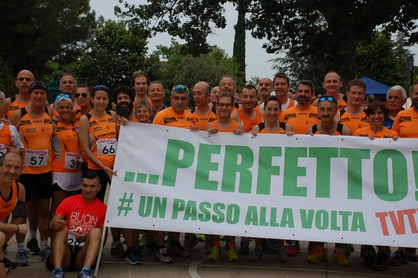 Maratonina di Villa Adriana (CCRun) (29/05/2016) 00007