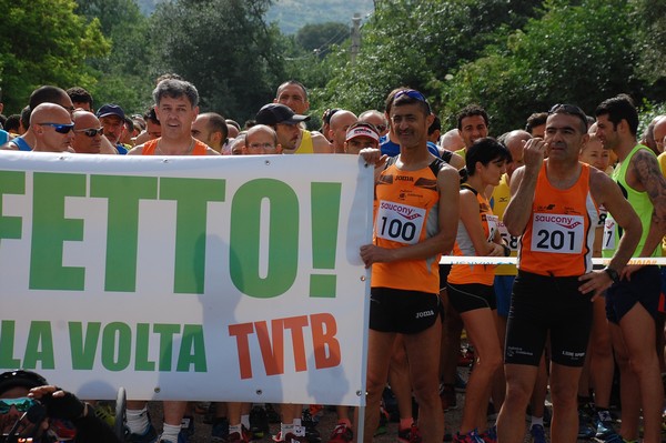 Maratonina di Villa Adriana (CCRun) (29/05/2016) 00027