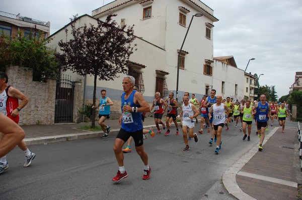 Maratonina di Villa Adriana (CCRun) (29/05/2016) 00075