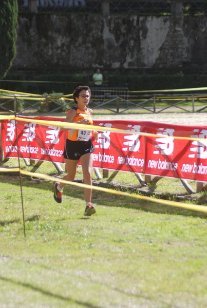 Maratona di Roma a Staffetta (TOP) (15/10/2016) 00235