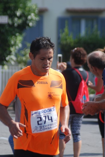 Millenium running (CE, CC) (11/09/2016) 00034