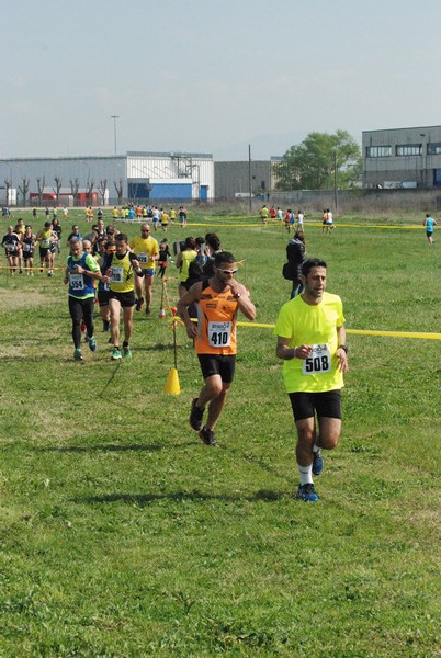 Cross Valle del Tevere (20/03/2016) 00036