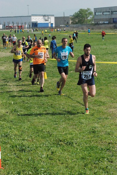 Cross Valle del Tevere (20/03/2016) 00055