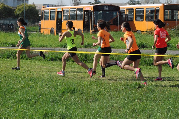 Cross Valle del Tevere (20/03/2016) 00016