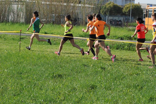 Cross Valle del Tevere (20/03/2016) 00017
